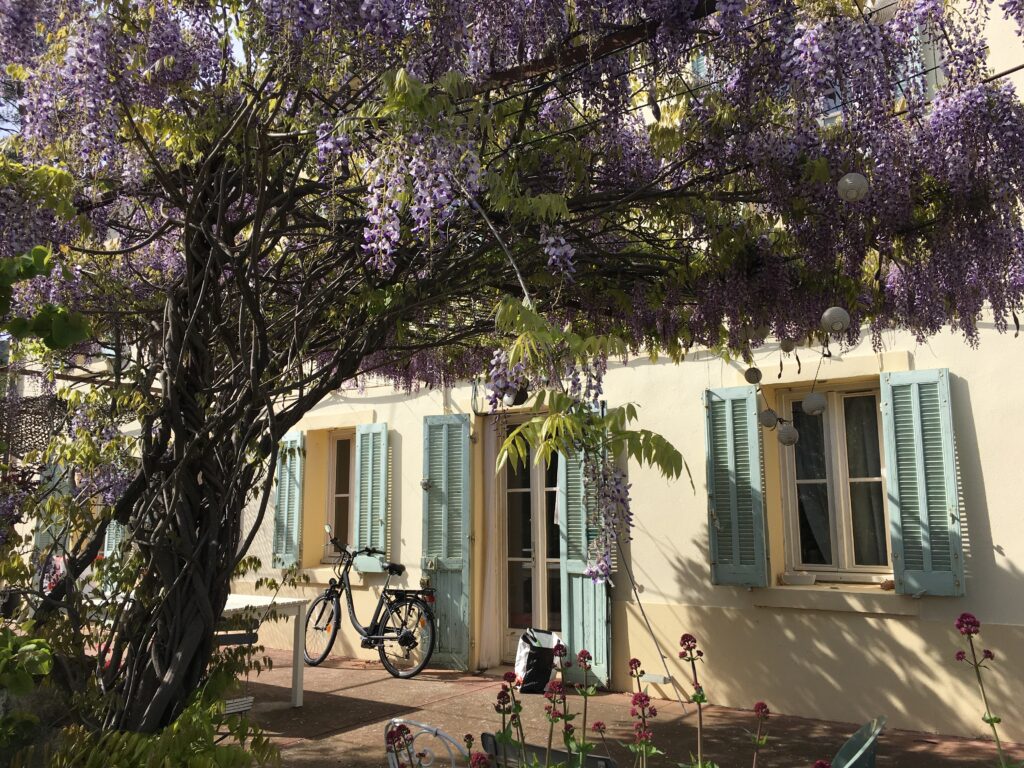 Glycine