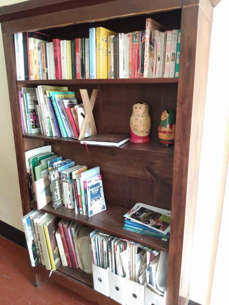 Bibliothèque et guides de tourisme