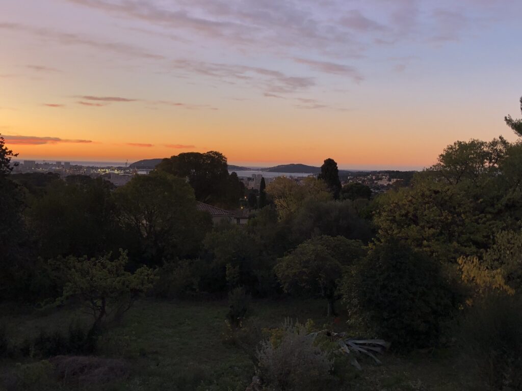 Lever de soleil dans le jardin