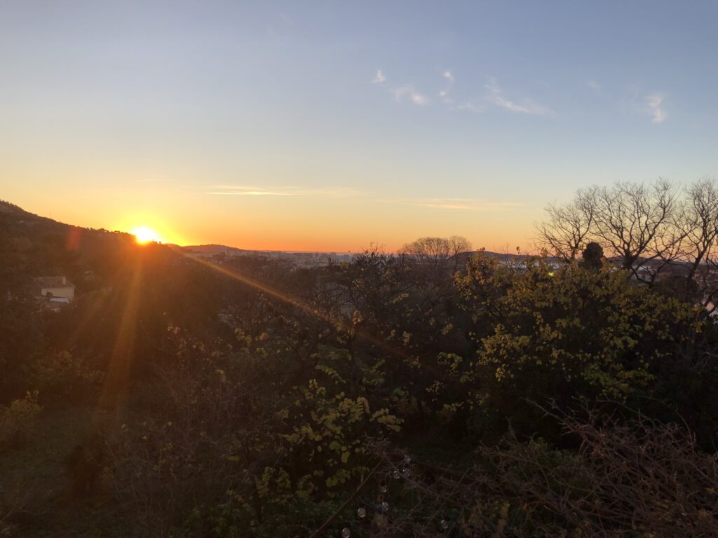 Lever de soleil dans le jardin