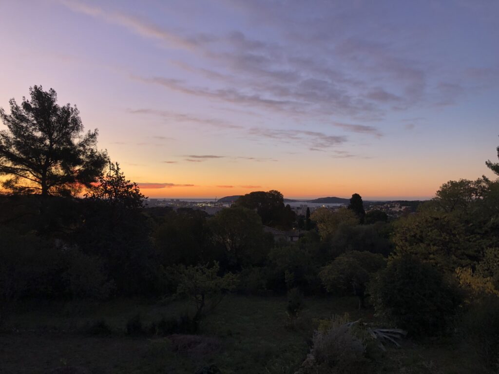 Lever de soleil dans le jardin