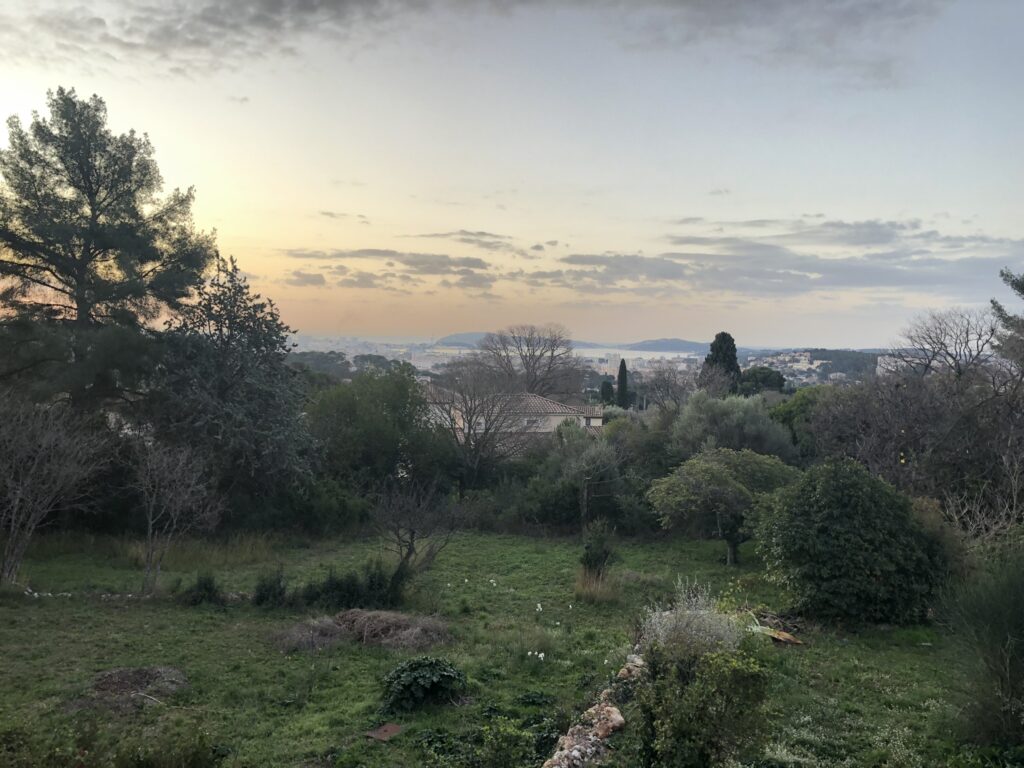 Jardin en janvier 2024